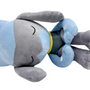 Coussin Riolu