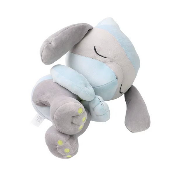Coussin Riolu