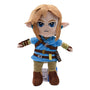 Link